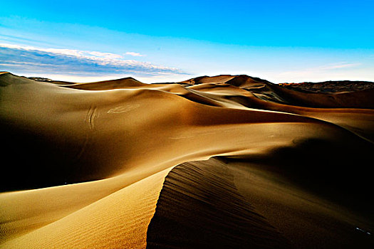 沙丘,沙漠,波纹,干燥,荒凉