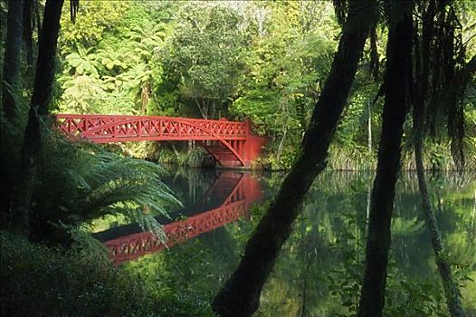 桥,公园,新,普利茅斯,北岛,新西兰