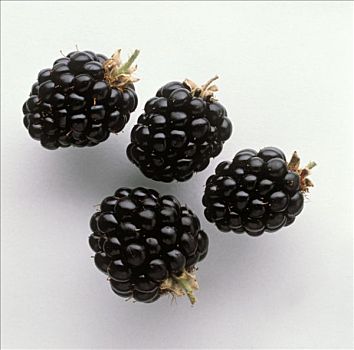 四个,黑莓