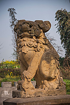 四川省乐山市犍为县罗城古镇南华宫门前这一对有着302多年历史,西南最大的石狮