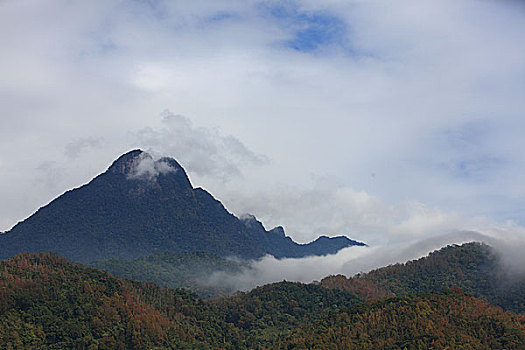 五指山风光