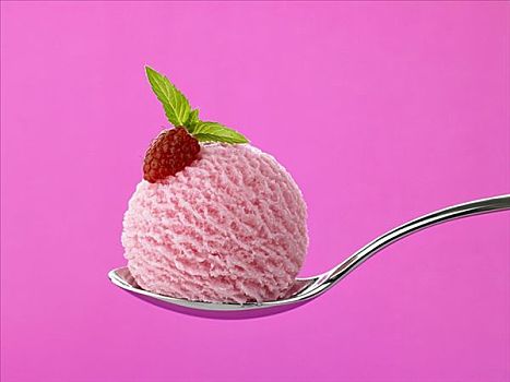 舀具,树莓冰淇淋,勺子