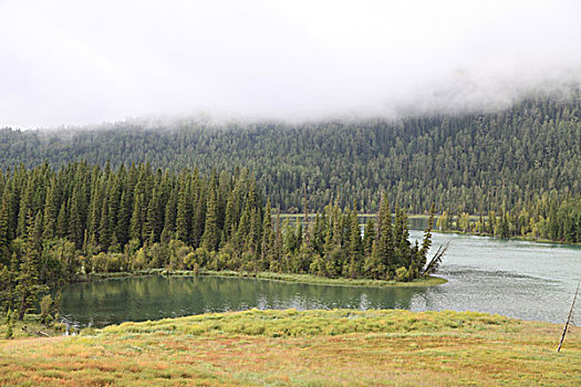 喀纳斯湖美景