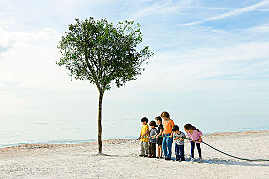 环境,概念,孩子,浇水,树,海滩