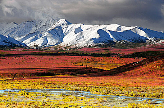 阿拉斯加山脉,秋天,针叶林带,德纳里峰国家公园,阿拉斯加,美国