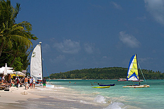 双体船,海滩,岛屿,苏梅岛,泰国