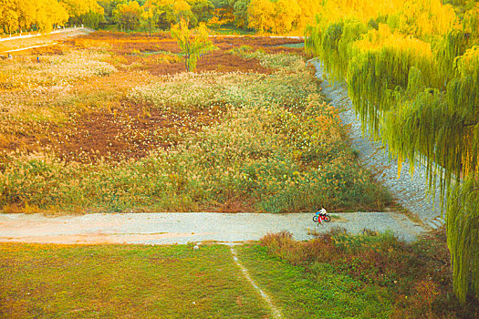北京昌平白浮厅公园秋季景色