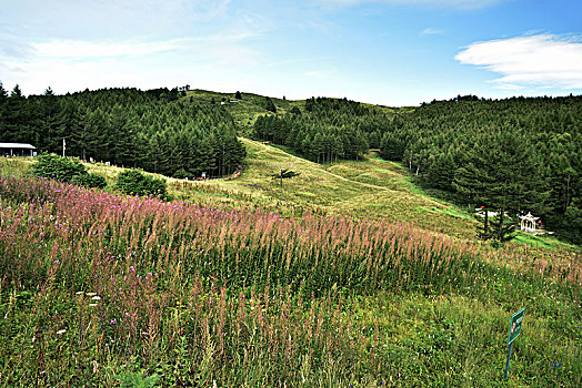 河北省石家庄市平山县驼梁风景区