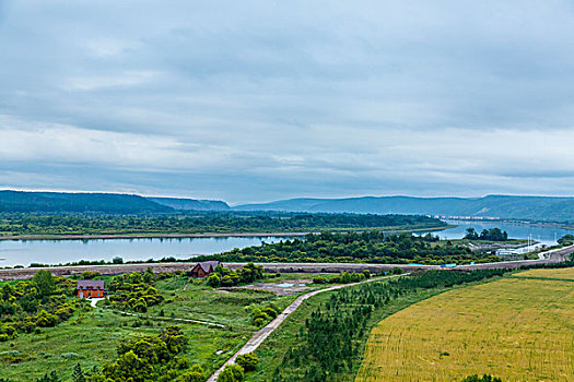 田野