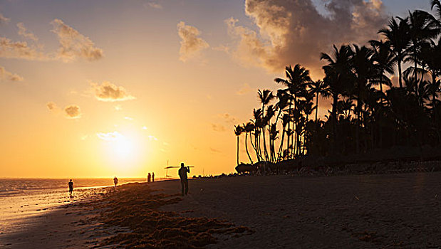橙色,日出,上方,大西洋,海岸,棕榈树,剪影,海滩,风景,伊斯帕尼奥拉岛,岛屿,多米尼加共和国