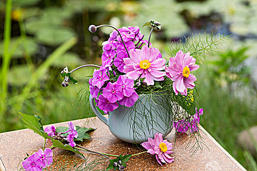 花,日本,银莲花,茴香,叶子,桌上,花园