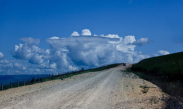 额尔古纳河,恩河,哈马尔河林地