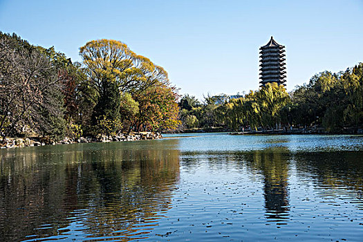 北京大学