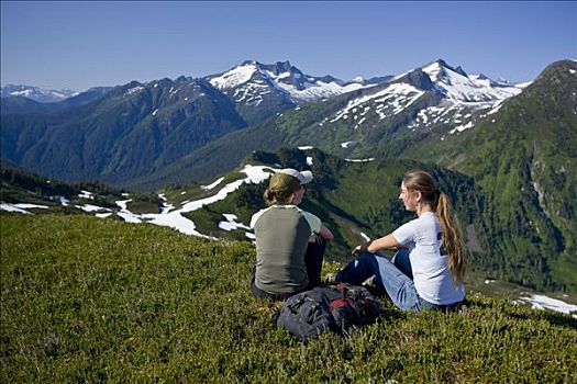 远足者,休息,赞赏,风景,高山,高处,盆地,树林,靠近,阿拉斯加