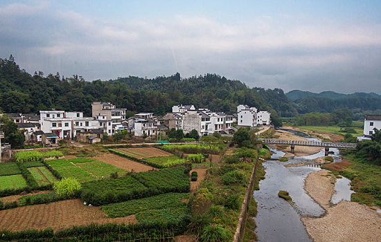 婺源乡村田园风光