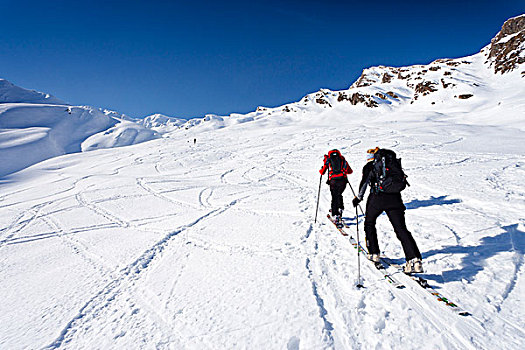 越野滑雪者,向上,山,高处,意大利,欧洲