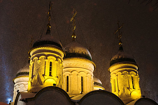 圆顶,教堂,叶子,莫斯科