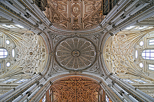 大教堂,室内,棱纹,拱顶,天花板,圆顶,科多巴,西班牙