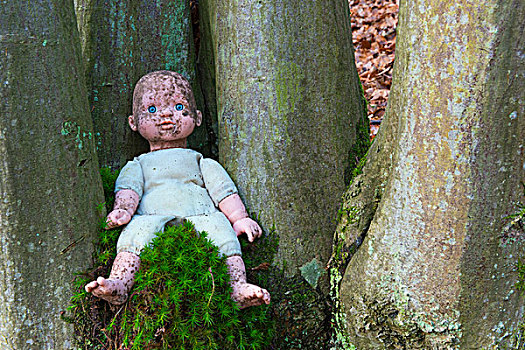 脏,娃娃,树,黑森州,德国