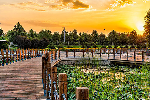 滹沱河生态旅游景区,清晨景色
