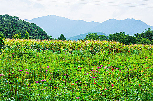 山岭风光