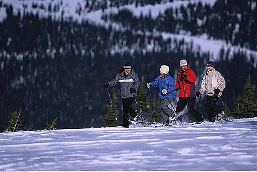 家庭,雪鞋,不列颠哥伦比亚省,加拿大