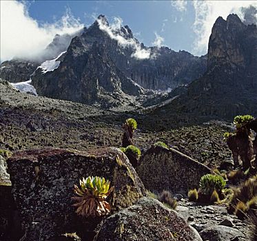 肯尼亚,中央省,肯尼亚山,顶峰,非洲,山