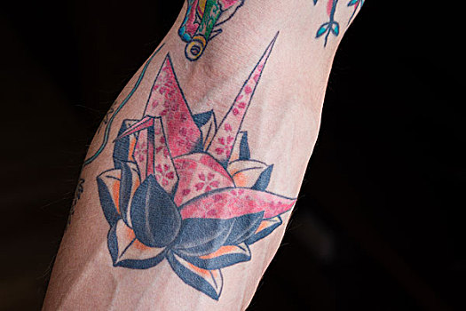 折纸,鹤,黑色背景,荷花,纹身