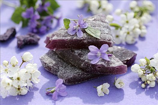 紫罗兰,甜食,嫩枝,花