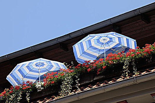 阳伞,露台,哈尔茨山,下萨克森,德国