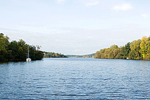 湖,帆船,树,远景