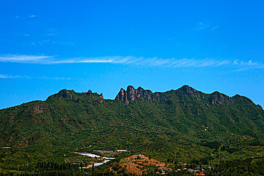 长满绿色植物的青山