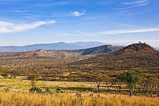 火山口,区域,伊丽莎白女王国家公园,鲁文佐里山地区,鲁文佐里山,山,乌干达