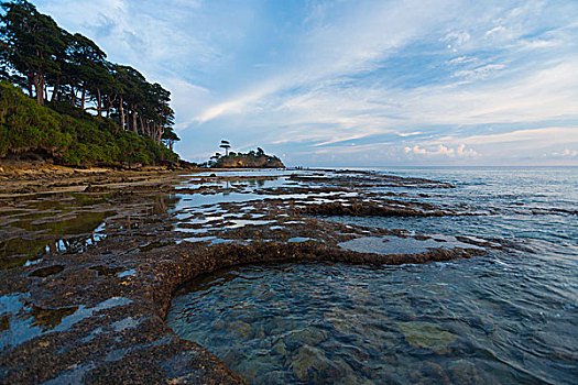 潮汐,水池,海岸,岛屿,安达曼,风景