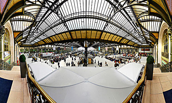 欧洲,法国,巴黎,全景,大厅,里昂火车站,乘客,月台,高速火车,背景,玻璃屋顶