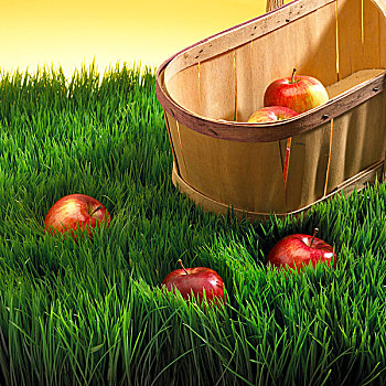苹果,篮子,草丛