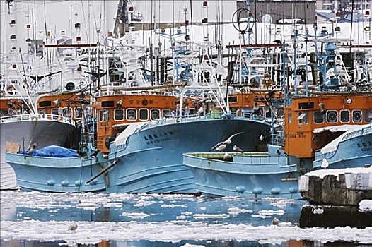 渔船,北海道,日本