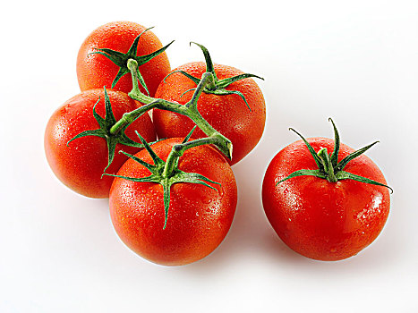 喜庆,西红柿茎