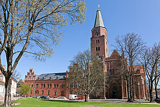 大教堂,勃兰登堡,哈弗尔河,德国,欧洲