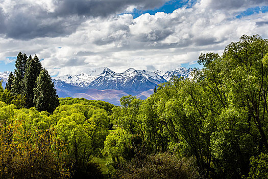 山谷,风景,新西兰