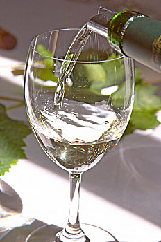 玻璃杯,清晰,白葡萄酒,晴朗,白色,桌布,城堡