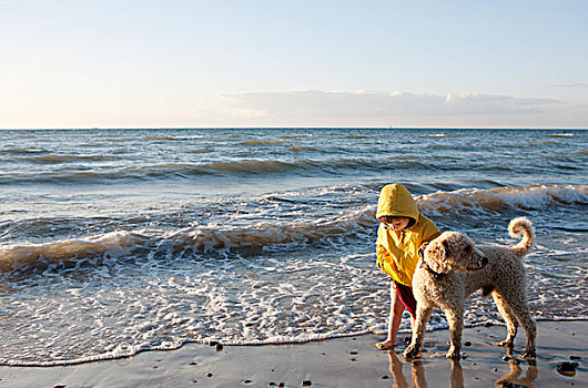 小女孩,狗,海洋