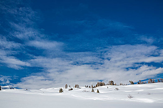 雪景,滑雪,区域,阿尔泰,南蒂罗尔,白云岩,意大利,欧洲