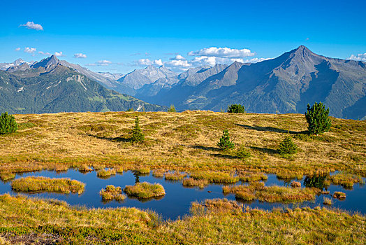 湿,生境,后面,阿尔卑斯山,提洛尔,奥地利,欧洲