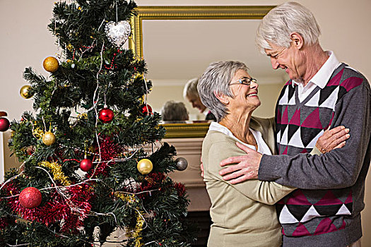 老年,夫妻,装饰,圣诞树