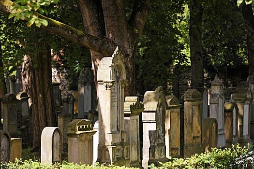 犹太,墓地,雷根斯堡,巴伐利亚,德国