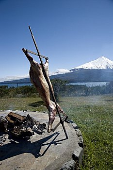 羊羔肉,扦子,湖,智利