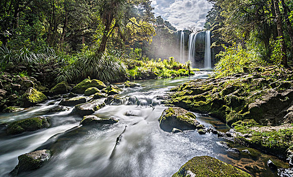 瀑布,温带雨林,北国,北岛,新西兰,大洋洲