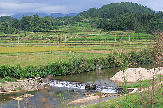 安徽农村