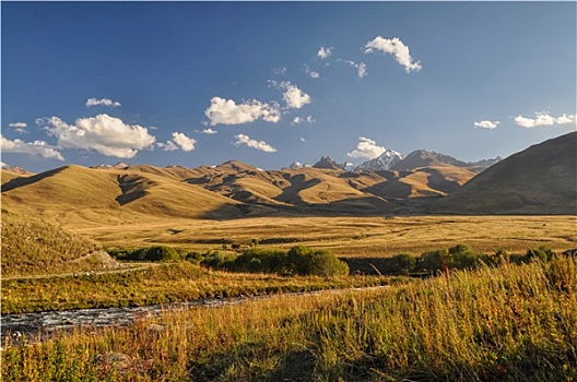 草地,吉尔吉斯斯坦